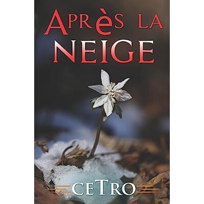 Cetro Après la neige - Publicité Cetro Après la neige - Publicité