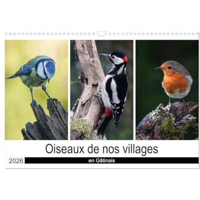 DENIS, Michel Oiseaux de nos villages en Gâtinais (Calendrier mural 2026 DIN A3 vertical), CALVENDO calendrier mensuel: Photographies d'oiseaux que l'on peut voir en France - Publicité DENIS, Michel Oiseaux de nos villages en Gâtinais (Calendrier mural 2026 DIN A3 vertical), CALVENDO calendrier mensuel: Photographies d'oiseaux que l'on peut voir en France - Publicité
