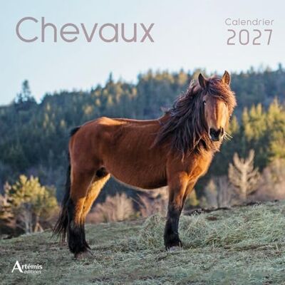 Collectif Calendrier chevaux 2027 (2027) - Publicité Collectif Calendrier chevaux 2027 (2027) - Publicité