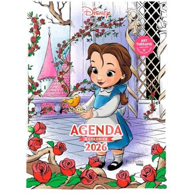 Agenda Disney 2026 Petites Poupées - Publicité Agenda Disney 2026 Petites Poupées - Publicité