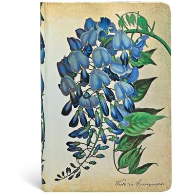 Paperblanks Carnet ligné Mini 95×140mm Plantes Peintes série Glycine en Fleurs - Publicité Paperblanks Carnet ligné Mini 95×140mm Plantes Peintes série Glycine en Fleurs - Publicité