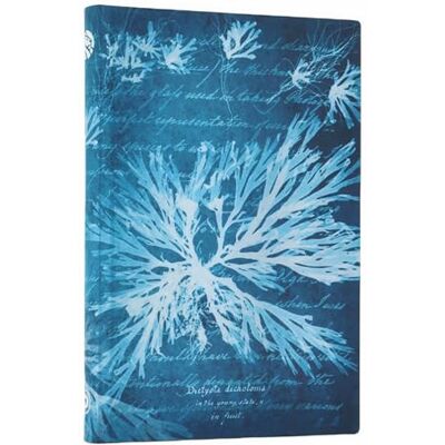 Carnet souple Paperblanks Fleurs Marines Mini Ligné 208p. Publicité Carnet souple Paperblanks Fleurs Marines Mini Ligné 208p. Publicité