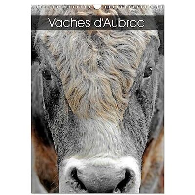 Thébault, Patrice Vaches d'Aubrac (Calendrier mural 2026 DIN A3 horizontal), CALVENDO calendrier mensuel: Les vaches de la race Aubrac en Aveyron - Publicité Thébault, Patrice Vaches d'Aubrac (Calendrier mural 2026 DIN A3 horizontal), CALVENDO calendrier mensuel: Les vaches de la race Aubrac en Aveyron - Publicité
