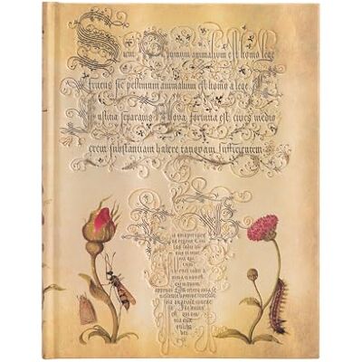 Paperblanks Carnet rigide Rose Flamande Ultra Non ligné 144p. Publicité Paperblanks Carnet rigide Rose Flamande Ultra Non ligné 144p. Publicité