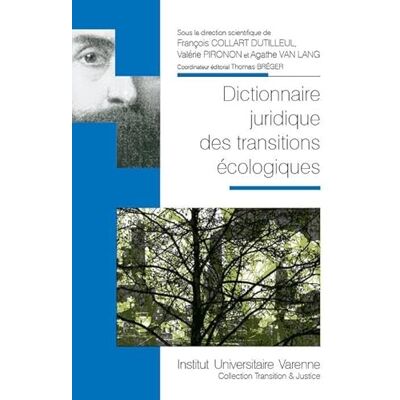 Collart Dutilleul, François DICTIONNAIRE JURIDIQUE DES TRANSITIONS ECOLOGIQUES - Publicité Collart Dutilleul, François DICTIONNAIRE JURIDIQUE DES TRANSITIONS ECOLOGIQUES - Publicité