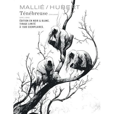 Hubert Ténébreuse Tome 2 - Publicité Hubert Ténébreuse Tome 2 - Publicité