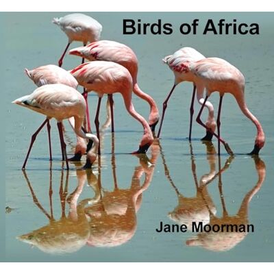 Moorman, Jane Birds of Africa - Publicité Moorman, Jane Birds of Africa - Publicité