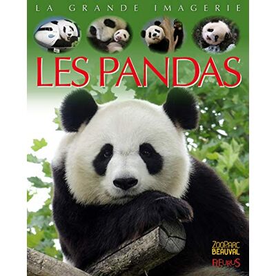 Redoulès, Stéphanie Les pandas - Publicité Redoulès, Stéphanie Les pandas - Publicité
