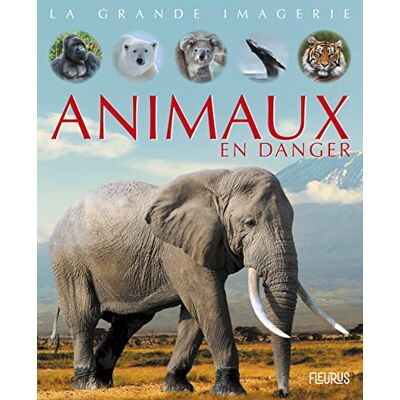 Boccador, Sabine Animaux en danger - Publicité Boccador, Sabine Animaux en danger - Publicité