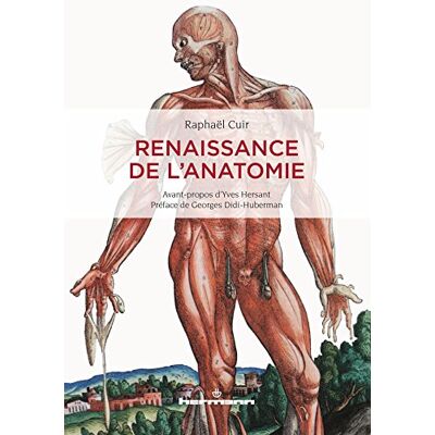 Cuir, Raphaël Renaissance de l'anatomie - Publicité Cuir, Raphaël Renaissance de l'anatomie - Publicité
