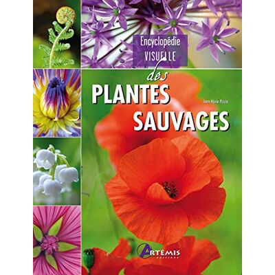 COLLECTIF Plantes sauvages - Publicité COLLECTIF Plantes sauvages - Publicité