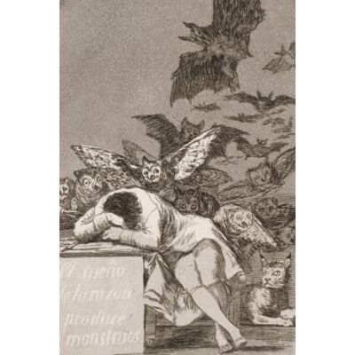 Samsa, Gregor Creepy Journals for Writing: Macabre Notebook Goya's The Sleep Of Reason Produces Monsters design - Publicité Samsa, Gregor Creepy Journals for Writing: Macabre Notebook Goya's The Sleep Of Reason Produces Monsters design - Publicité