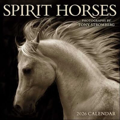 Stromberg, Tony Spirit Horses 2026 Wall Calendar by Tony Stromberg - Publicité Stromberg, Tony Spirit Horses 2026 Wall Calendar by Tony Stromberg - Publicité