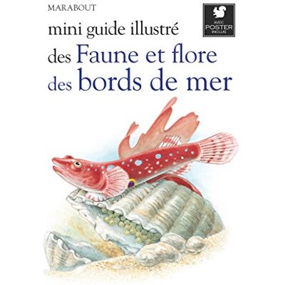 Marabout Mini guide illustré des faune et flore des bords de mer - Publicité Marabout Mini guide illustré des faune et flore des bords de mer - Publicité