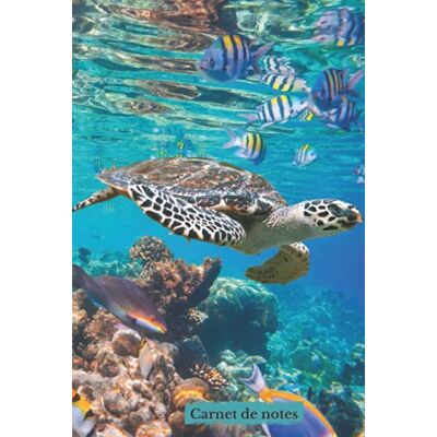 A, Double Carnet de Notes: Tortue marine – Couverture rigide – Magnifique Journal – Cahier de notes Ligné – 108 pages – 15,24x22,86 cm – 6x9 – Idée Cadeau – Belle photo - Publicité A, Double Carnet de Notes: Tortue marine – Couverture rigide – Magnifique Journal – Cahier de notes Ligné – 108 pages – 15,24x22,86 cm – 6x9 – Idée Cadeau – Belle photo - Publicité