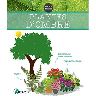 Collectif Plantes d'ombre - Publicité Collectif Plantes d'ombre - Publicité