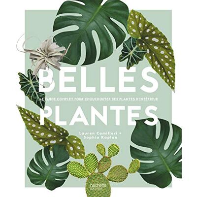 Camilleri, Lauren Belles plantes - Publicité Camilleri, Lauren Belles plantes - Publicité