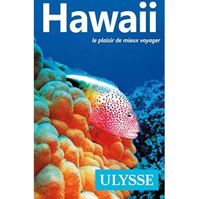 Collectif Hawaii le plaisir de mieux voyager - Publicité Collectif Hawaii le plaisir de mieux voyager - Publicité