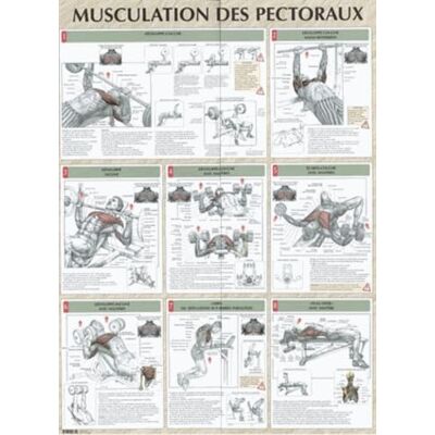 DELAVIER FREDERIC Musculation des pectoraux planche plastifiée (0000) - Publicité DELAVIER FREDERIC Musculation des pectoraux planche plastifiée (0000) - Publicité