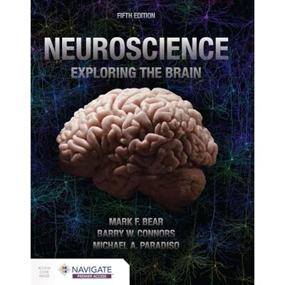 Bear, Mark Neuroscience: Exploring the Brain - Publicité Bear, Mark Neuroscience: Exploring the Brain - Publicité