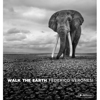 Walk the Earth - Publicité Walk the Earth - Publicité