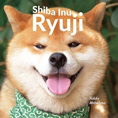 Motoshima, Yukiko Shiba Inu Ryuji - Publicité Motoshima, Yukiko Shiba Inu Ryuji - Publicité