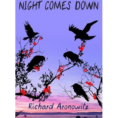 Aronowitz, Richard Night Comes Down - Publicité Aronowitz, Richard Night Comes Down - Publicité