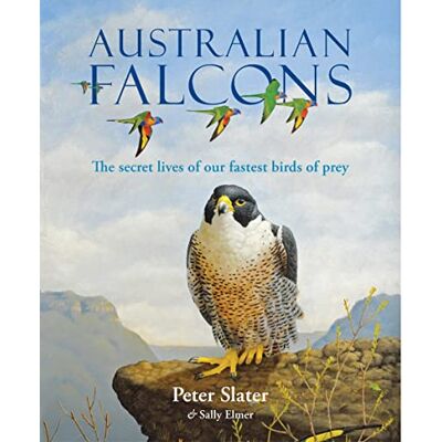 Slater, Peter Australian Falcons - Publicité Slater, Peter Australian Falcons - Publicité