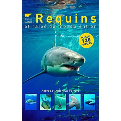 Ferrari, Andrea et Antonella Requins et raies du monde entier - Publicité Ferrari, Andrea et Antonella Requins et raies du monde entier - Publicité