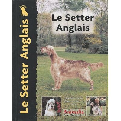 Cunliffe, Juliette Le Setter Anglais - Publicité Cunliffe, Juliette Le Setter Anglais - Publicité