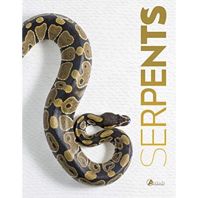 Collectif Serpents - Publicité Collectif Serpents - Publicité