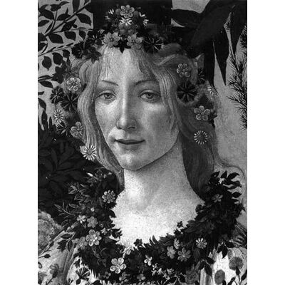 Venturi, Lionello Botticelli - Publicité Venturi, Lionello Botticelli - Publicité