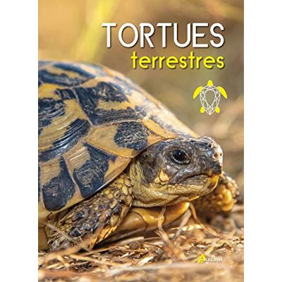 COLLECTIF Tortues terrestres - Publicité COLLECTIF Tortues terrestres - Publicité