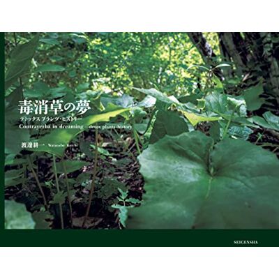 Watanabe Koichi Contrayerba in Dreaming detox plants-history - Publicité Watanabe Koichi Contrayerba in Dreaming detox plants-history - Publicité