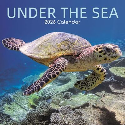 The Gifted Stationery The Gifted Stationary Calendrier mural carré 2026, sous la mer, 16 mois sur le thème du monde naturel avec 180 autocollants de rappel, planificateur mensuel pour la maison ou les espaces créatifs - Publicité The Gifted Stationery The Gifted Stationary Calendrier mural carré 2026, sous la mer, 16 mois sur le thème du monde naturel avec 180 autocollants de rappel, planificateur mensuel pour la maison ou les espaces créatifs - Publicité