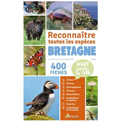 COLLECTIF Bretagne, reconnaître toutes les espèces - Publicité COLLECTIF Bretagne, reconnaître toutes les espèces - Publicité
