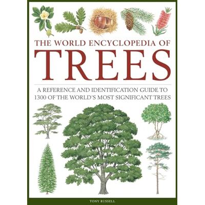 Russell, Tony The World Encyclopedia of Trees: A Reference and Identification Guide to 1300 of the World's Most Significant Trees - Publicité Russell, Tony The World Encyclopedia of Trees: A Reference and Identification Guide to 1300 of the World's Most Significant Trees - Publicité