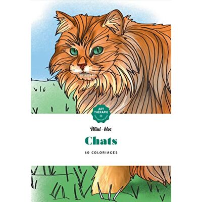 Chats - Publicité Chats - Publicité