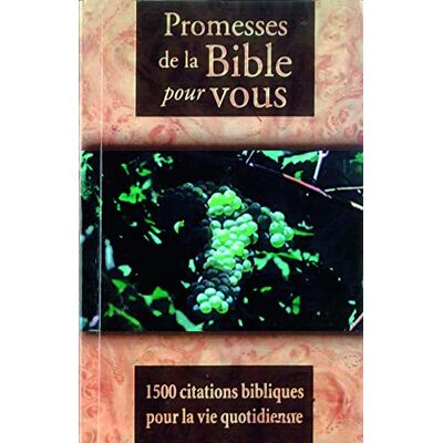 DE LA BIBL, PROMESSES Promesses de la Bible pour Vous - Publicité DE LA BIBL, PROMESSES Promesses de la Bible pour Vous - Publicité
