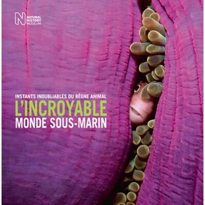 Cox, Rosamund Kidman L'incroyable monde sous-marin - Publicité Cox, Rosamund Kidman L'incroyable monde sous-marin - Publicité