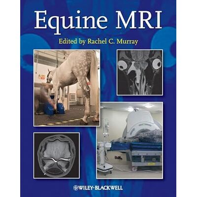Equine MRI - Publicité Equine MRI - Publicité