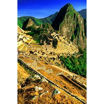 Image, Cool Terraces of Machu Picchu Peru Journal: 150 page lined notebook/diary - Publicité Image, Cool Terraces of Machu Picchu Peru Journal: 150 page lined notebook/diary - Publicité