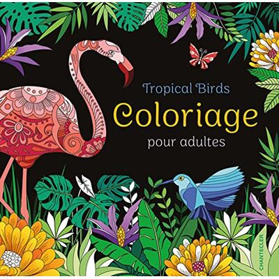 Theissen, Petra Tropical Birds Coloriage pour adultes - Publicité Theissen, Petra Tropical Birds Coloriage pour adultes - Publicité