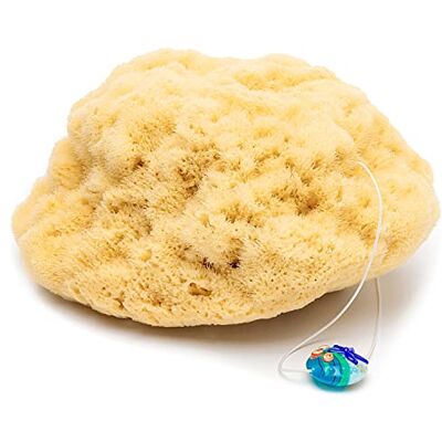 tom&pat ® Éponge naturelle Silk • avec cordon et pendentif en verre • éponge bébé bain douce • peau sensible • Dermatest excellent • qualité premium Grèce • eBook Savon Naturel DIY (10-11 cm) - Publicité tom&pat ® Éponge naturelle Silk • avec cordon et pendentif en verre • éponge bébé bain douce • peau sensible • Dermatest excellent • qualité premium Grèce • eBook Savon Naturel DIY (10-11 cm) - Publicité