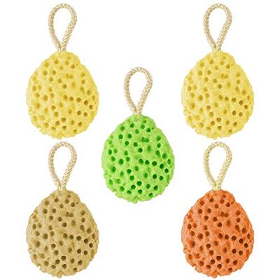 Dadabig 5 PCS Bain Éponges Hydrophiles, Éponges De Bain Loofahs Exfoliantes, Boules Éponge De Mer Naturelle Pour BÉBÉ, Fournitures De Salle De Bain, 4 Couleurs - Publicité Dadabig 5 PCS Bain Éponges Hydrophiles, Éponges De Bain Loofahs Exfoliantes, Boules Éponge De Mer Naturelle Pour BÉBÉ, Fournitures De Salle De Bain, 4 Couleurs - Publicité