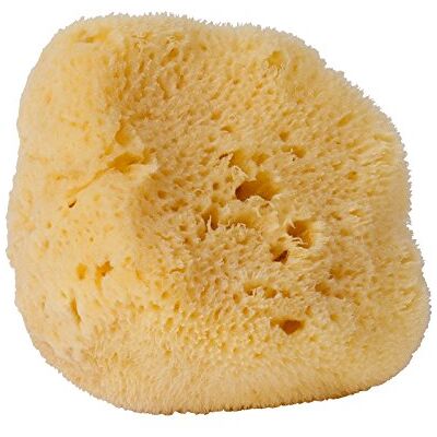 Croll & Denecke L100 Éponge Naturelle Levantine de la mer Méditerranée à Pores Fins pour Le Soin du Visage 10 cm - Publicité Croll & Denecke L100 Éponge Naturelle Levantine de la mer Méditerranée à Pores Fins pour Le Soin du Visage 10 cm - Publicité