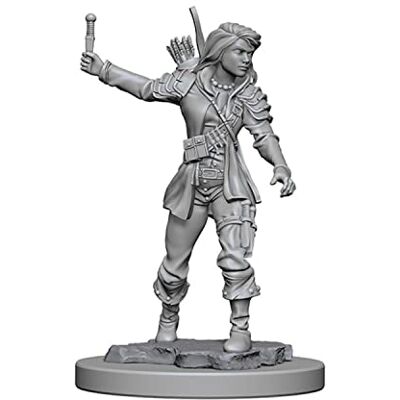 WizKids Pathfinder: Deep Cuts Unpainted Miniatures: Human Female Rogue - Publicité WizKids Pathfinder: Deep Cuts Unpainted Miniatures: Human Female Rogue - Publicité
