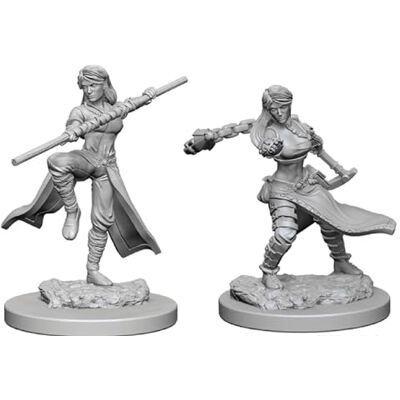 WizKids Dungeons & Dragons: Nolzur's Marvelous Unpainted Minis: Human Female Monk - Publicité WizKids Dungeons & Dragons: Nolzur's Marvelous Unpainted Minis: Human Female Monk - Publicité