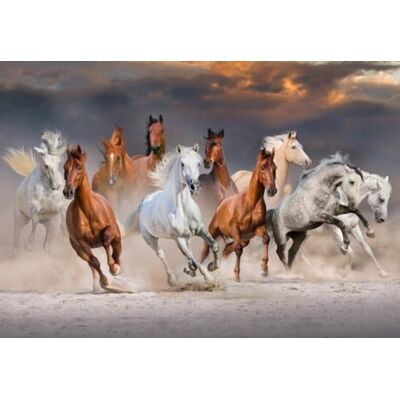 Bluebird Puzzle 1000 pièces The Horse Race - Publicité Bluebird Puzzle 1000 pièces The Horse Race - Publicité