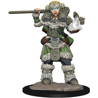 WizKids Girl Druid and Stone Creature Wardlings - Publicité WizKids Girl Druid and Stone Creature Wardlings - Publicité